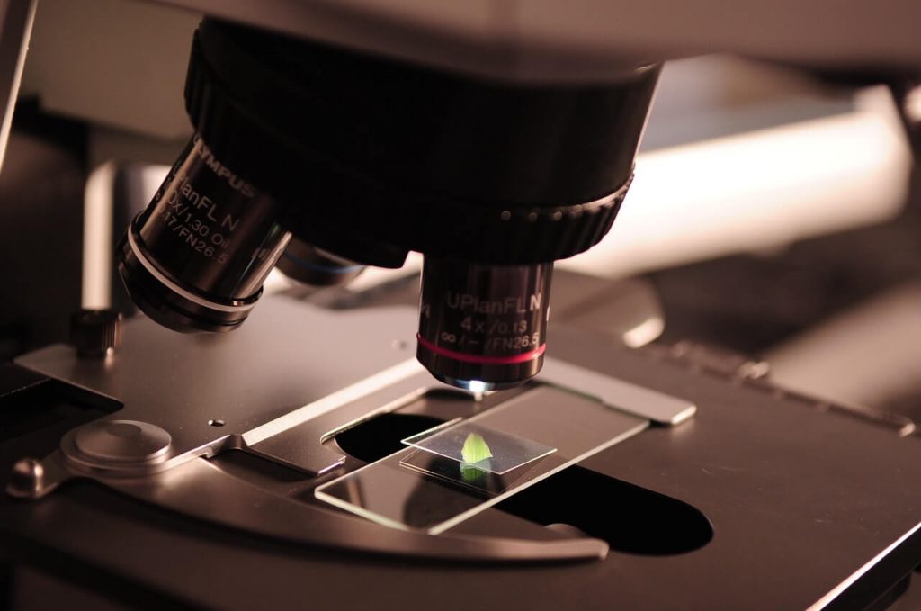 Ciencia